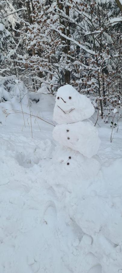 Laverde - Blisko Przyrody Daleko Od Tlumu Villa Skomielna Czarna Exterior foto