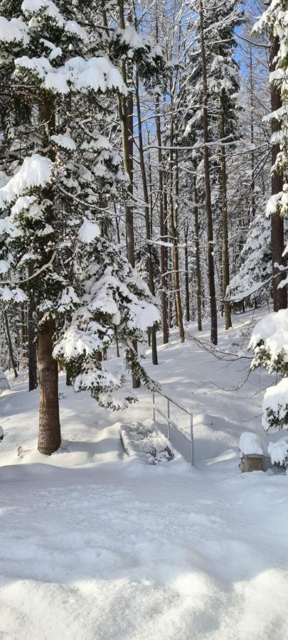 Laverde - Blisko Przyrody Daleko Od Tlumu Villa Skomielna Czarna Exterior foto